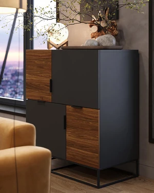 Дизайнерский комод с 4 дверцами, 100×50×112 см Loft Wood в интерьере: фото 