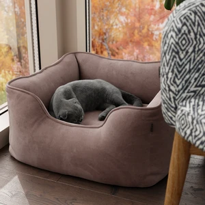Дизайнерский лежак 45×45×25 см Buddy Small в интерьере: фото 2